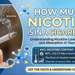 how much nicotine is in a cigarette