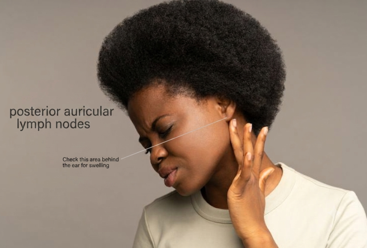 posterior auricular lymph nodes